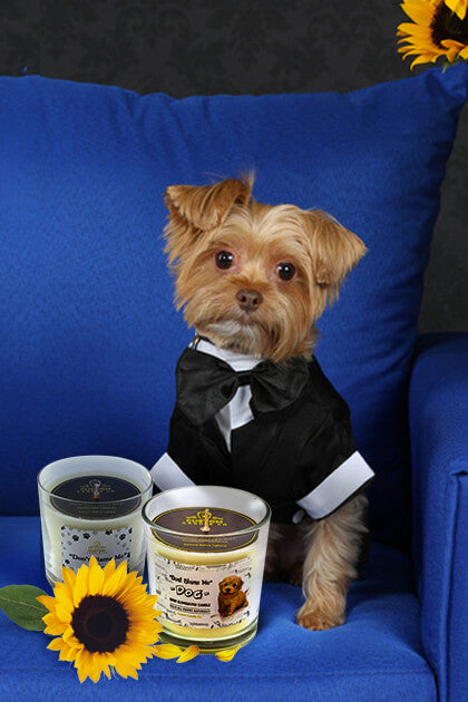 Celebrate the Dog Days of Summer with Us