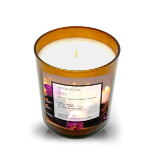 The Musical Spa The Spa Candle is a brown glass jar spa candle labeled "Spa Collection" with a floral design, white wax, and a single wick—perfect for relaxing with natural scents.